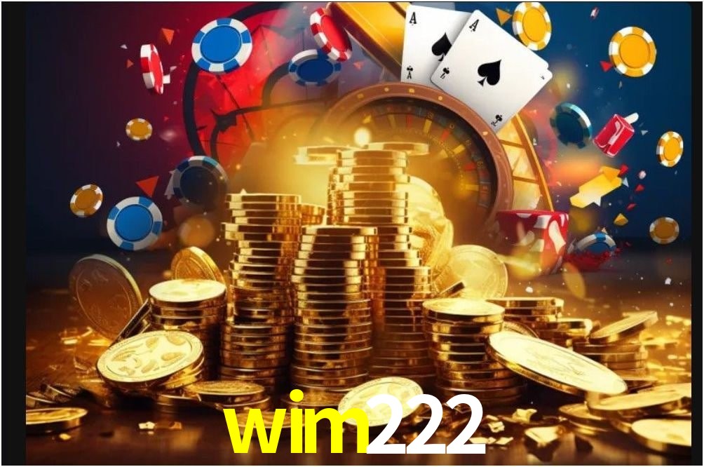 Interface Premium wim222